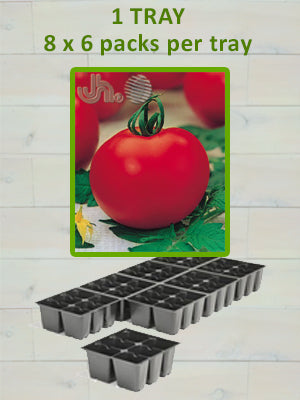 806 TOMATO-BETTER BOY
