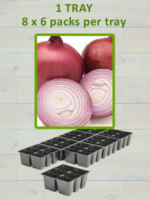 806 ONION-RED NUGENT