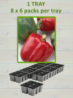 806 PEPPER-BARON-RED BELL