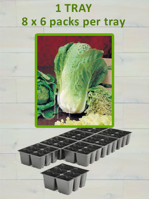 806 LETTUCE-PARRIS ISLAND COS