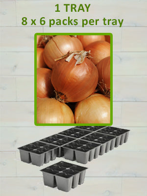 806 ONION-YELLOW SWEET SPANISH