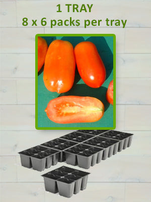 806 TOMATO-SAN MARAZANO