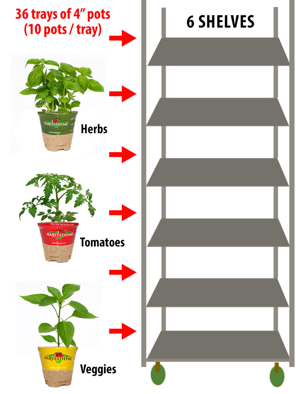 GALLON Mix 15 | MOSQUITAWAY Mix 4